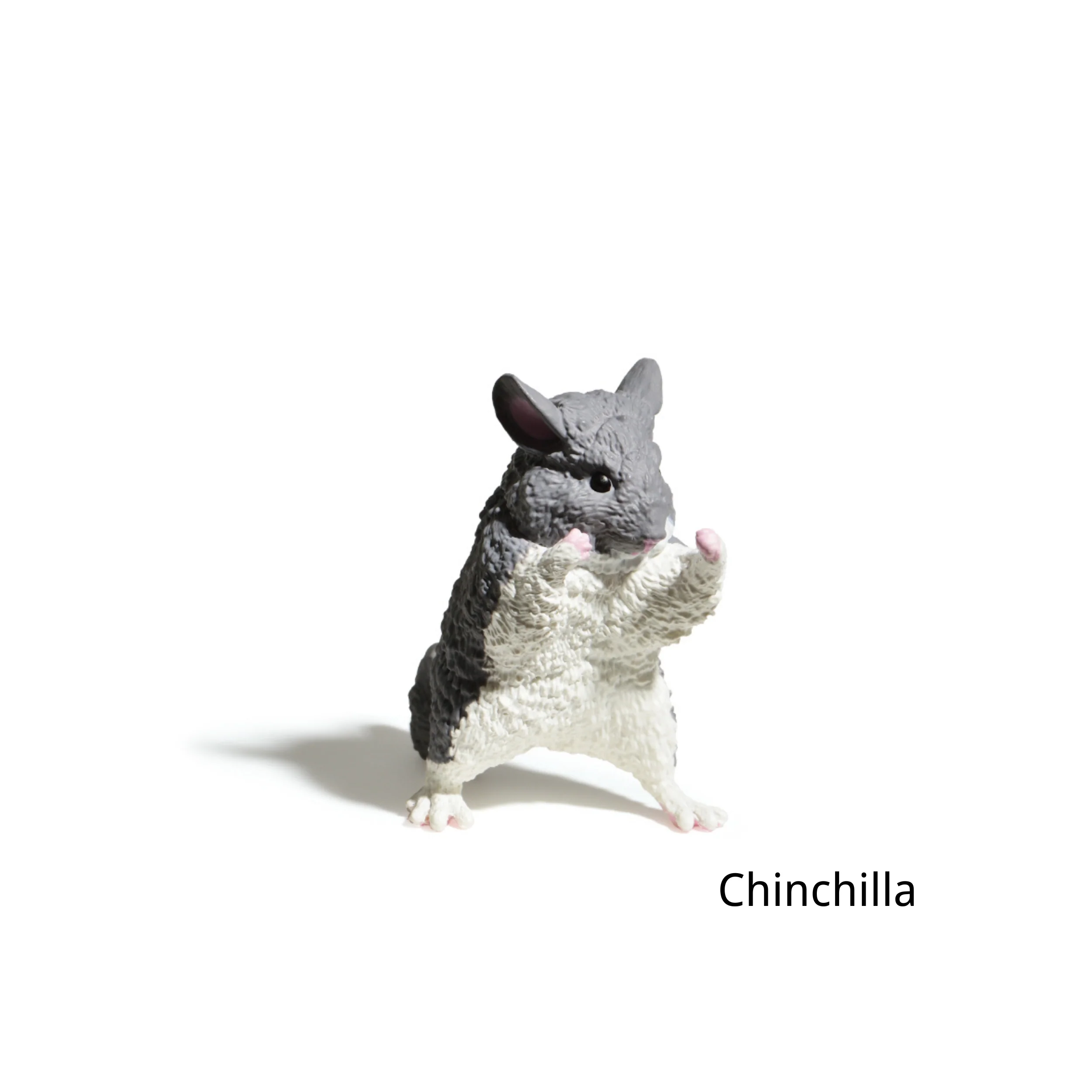 画像 6