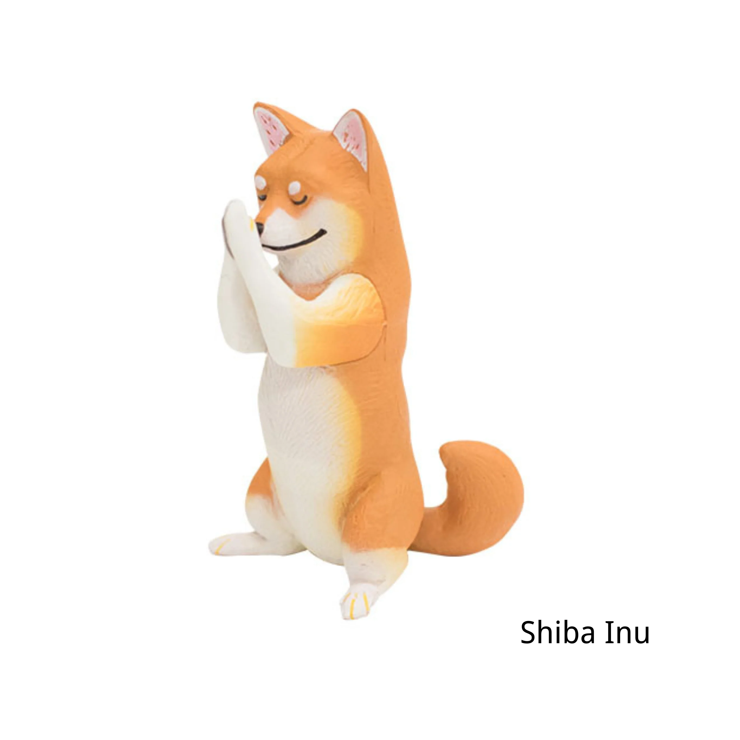 画像 6