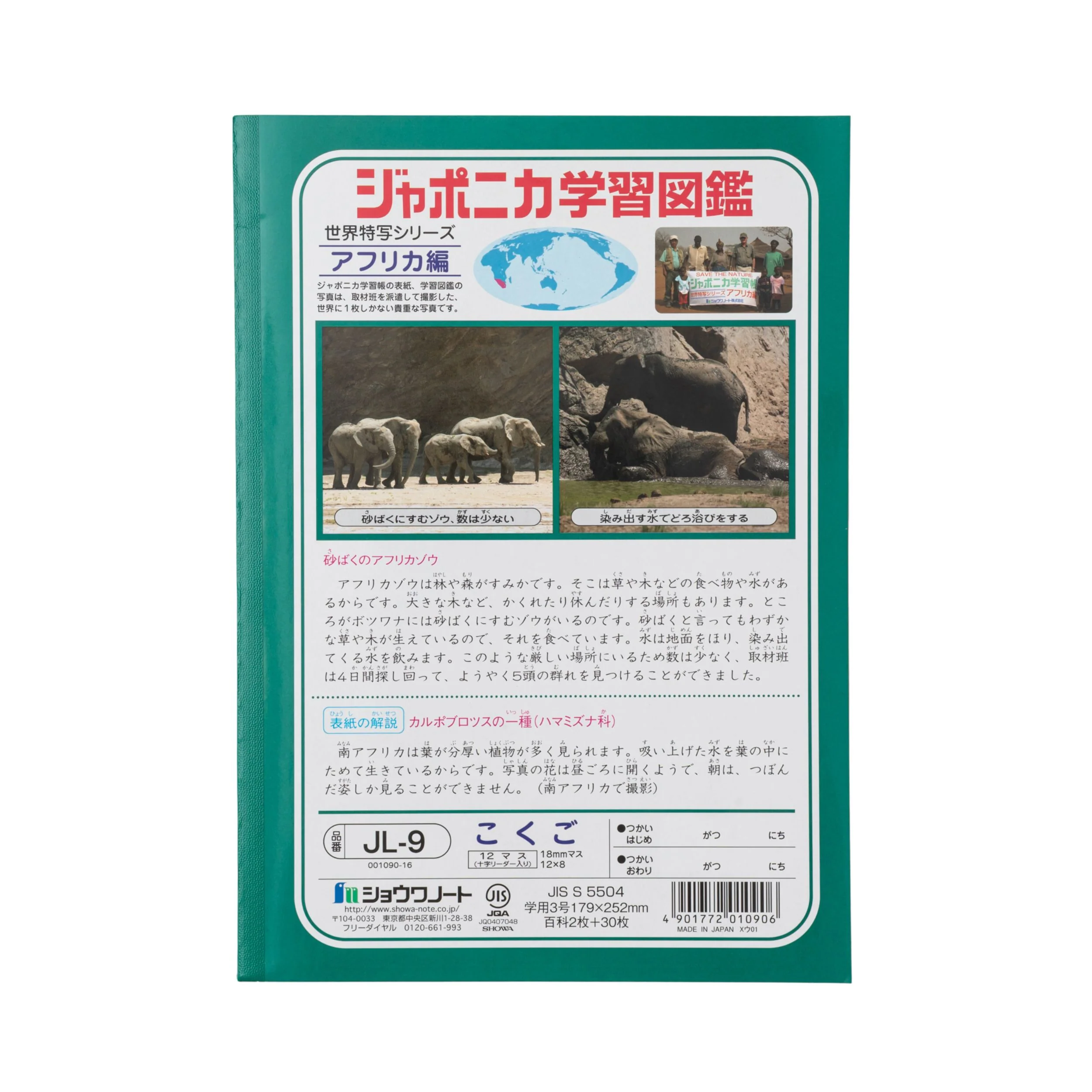 画像 4