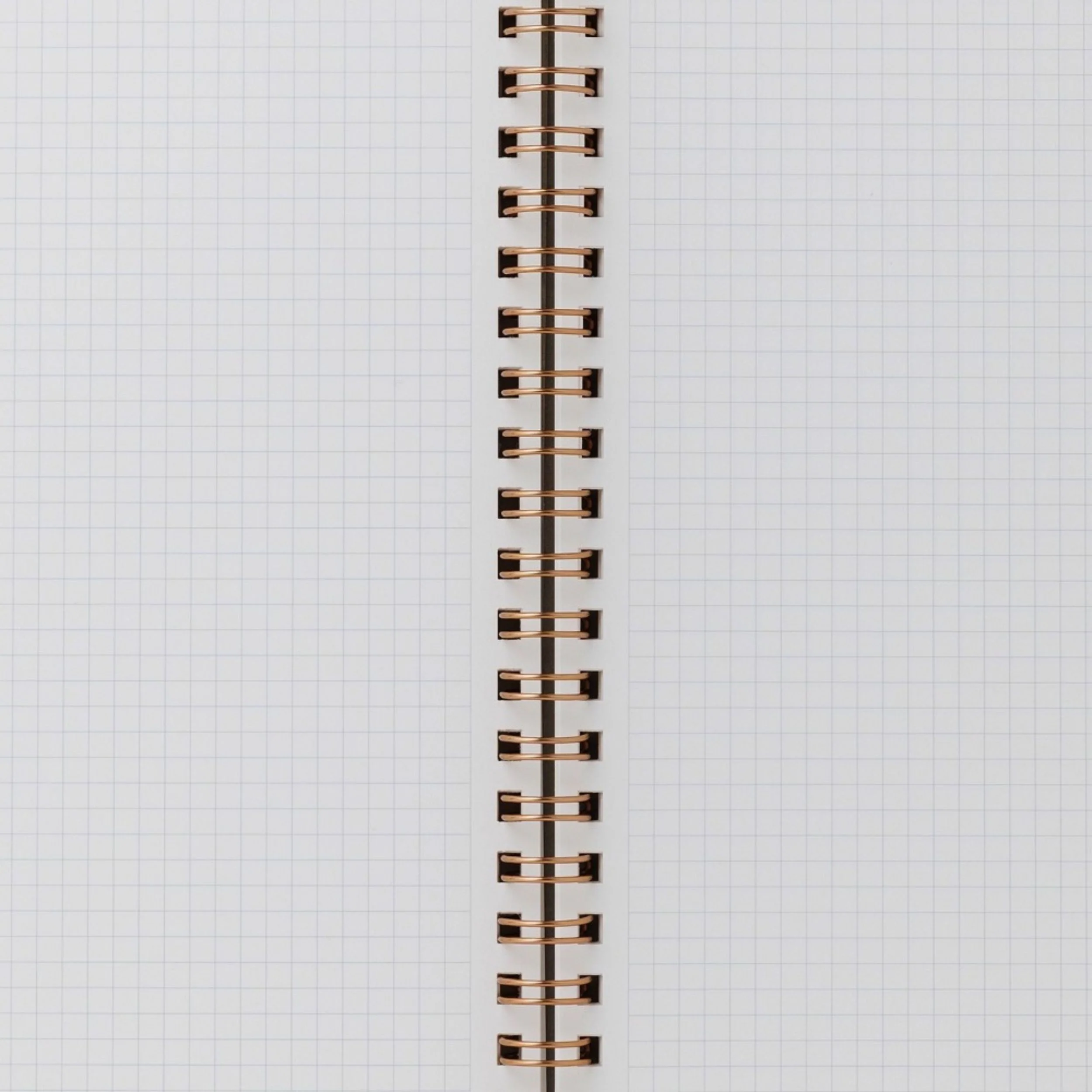 画像 5
